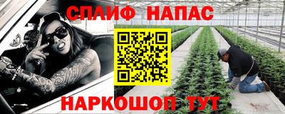 сатива Можга