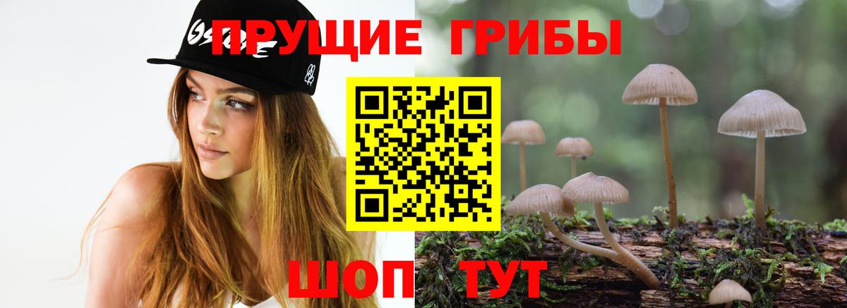 Псилоцибиновые грибы GOLDEN TEACHER Уссурийск